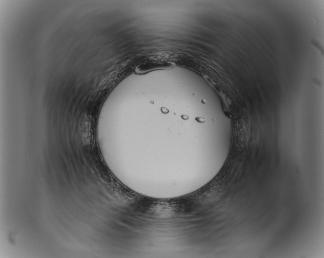 X0000100850416200807111221