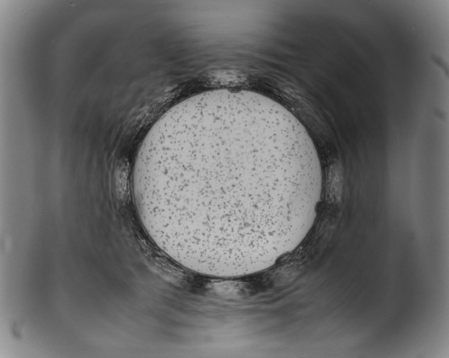 X0000100850417200807111221