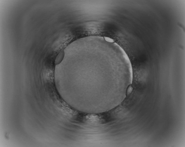 X0000100850419200807111221