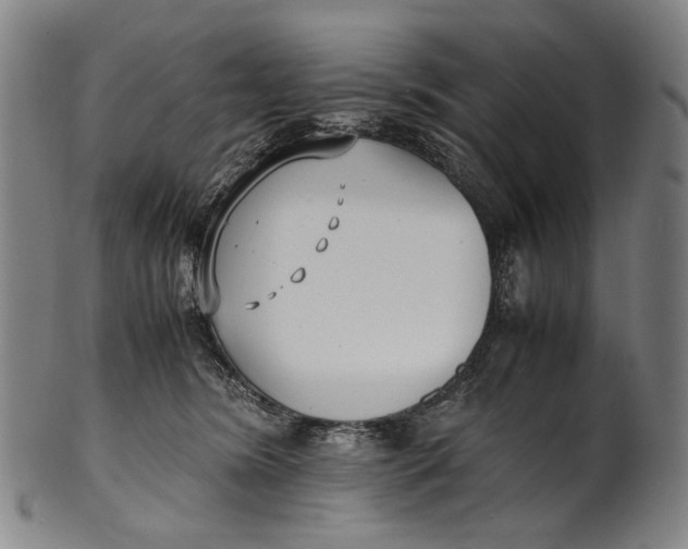 X0000100850420200807111221