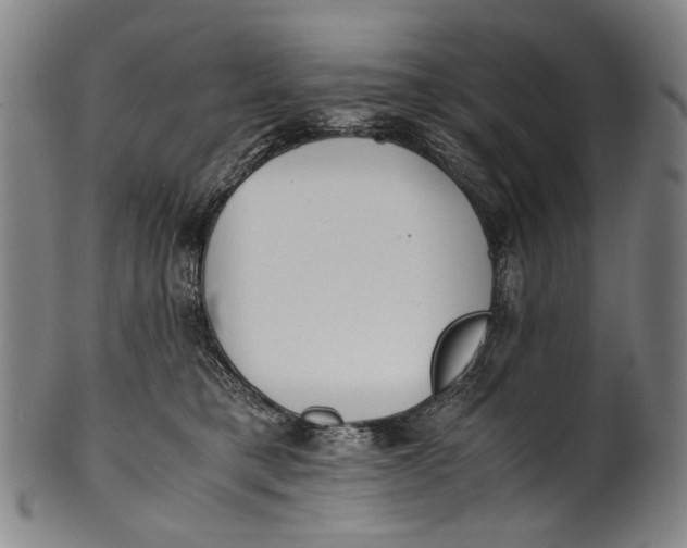 X0000100850421200807111221