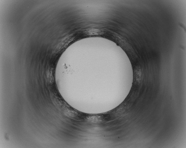 X0000100850422200807111220