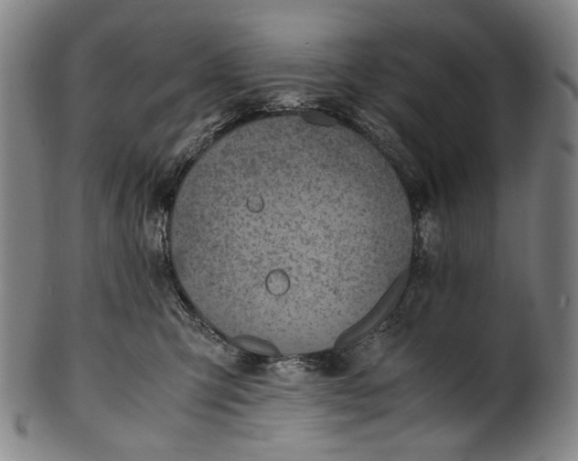 X0000100850423200807111220