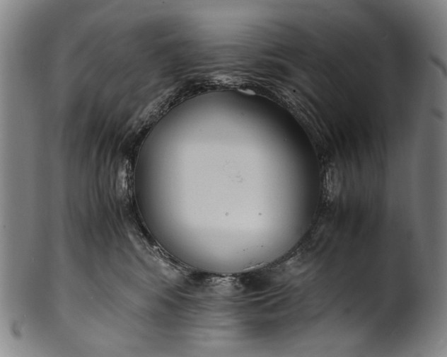 X0000100850424200807111220