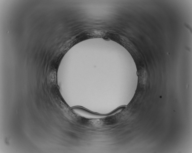 X0000100850425200807111220