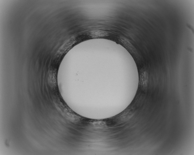 X0000100850426200807111220