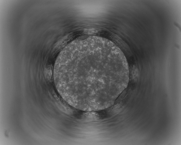 X0000100850427200807111220