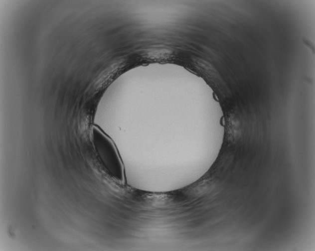 X0000100850428200807111220