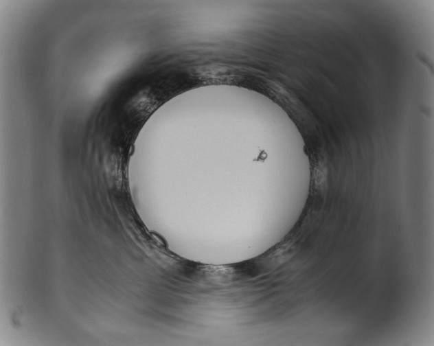 X0000100850429200807111220