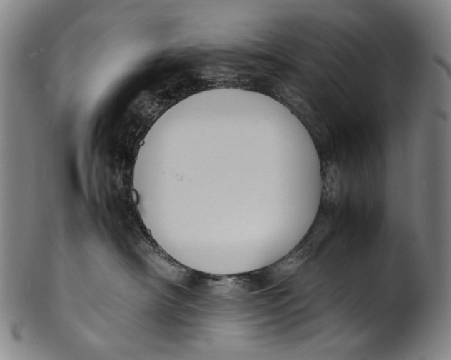 X0000100850430200807111220