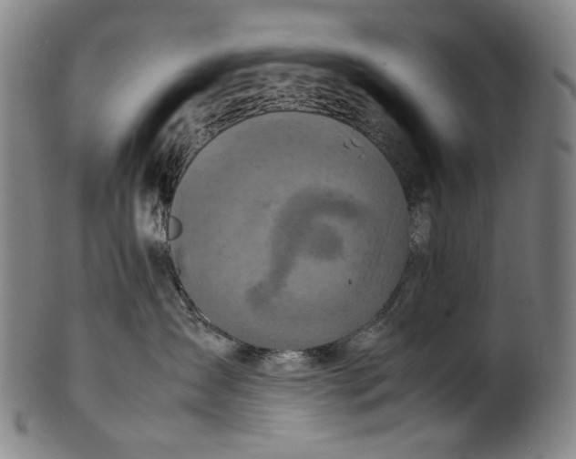 X0000100850431200807111220