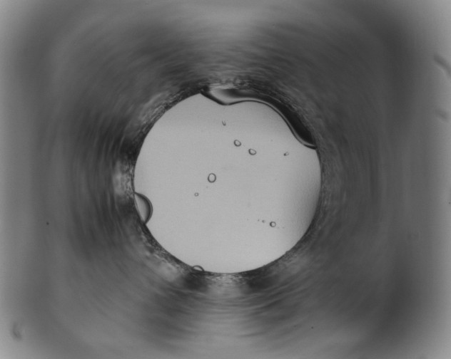 X0000100850432200807111220