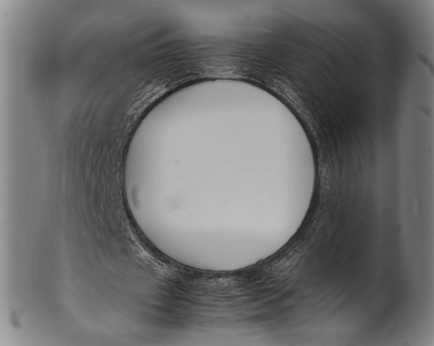 X0000100850433200807111220