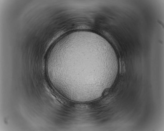 X0000100850435200807111220