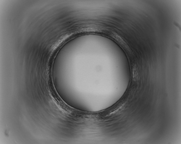 X0000100850436200807111220