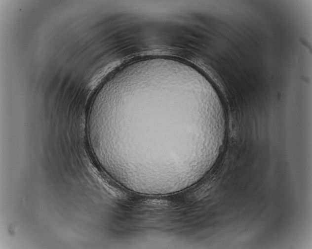 X0000100850437200807111220