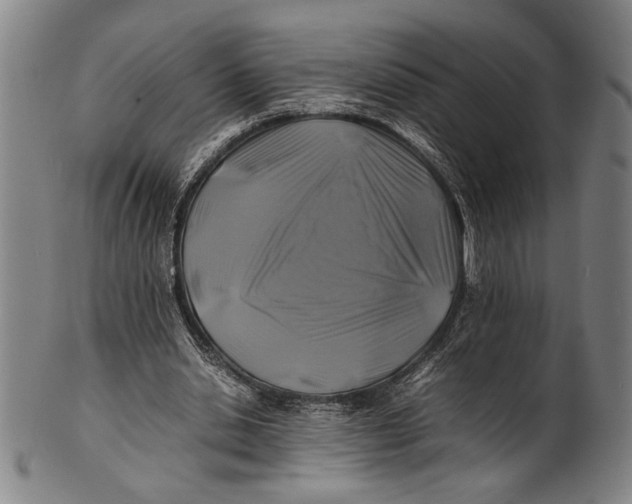 X0000100850438200807111220