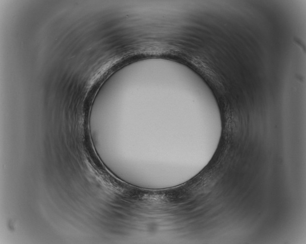 X0000100850440200807111220