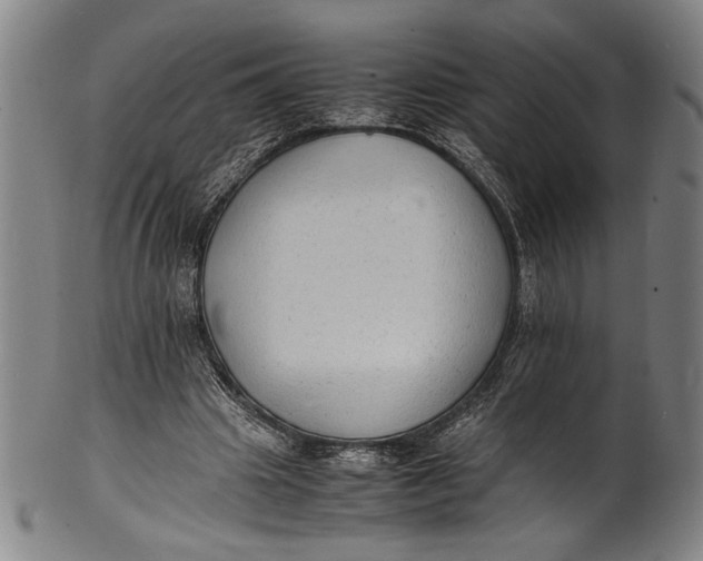 X0000100850441200807111220