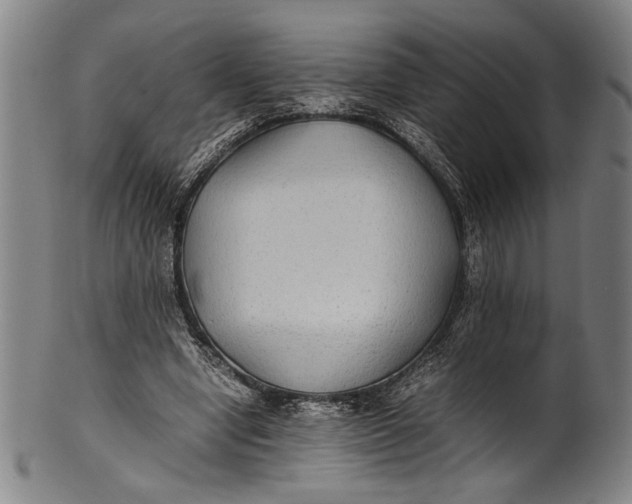 X0000100850442200807111220