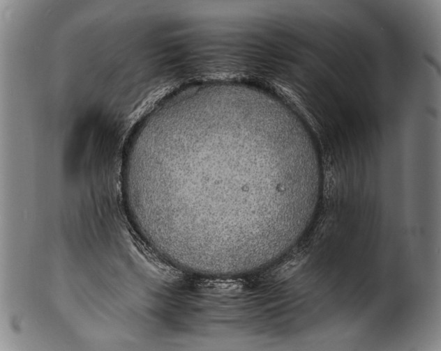 X0000100850443200807111220