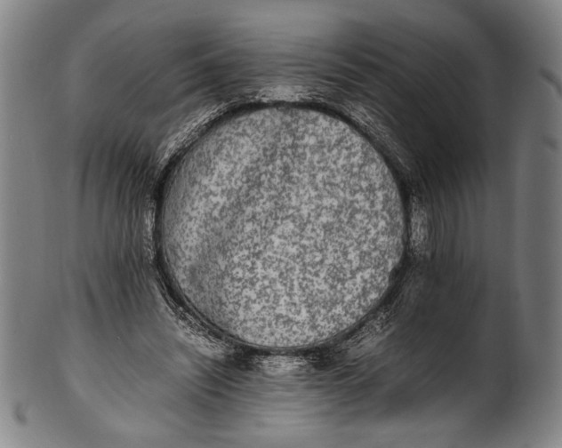 X0000100850444200807111220