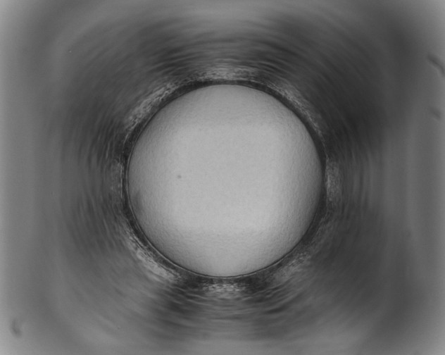 X0000100850445200807111220