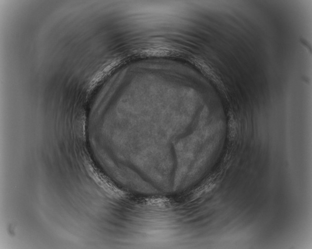 X0000100850446200807111220