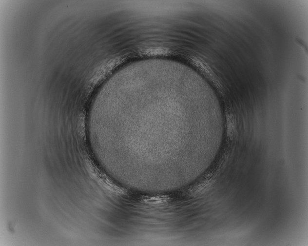 X0000100850447200807111220