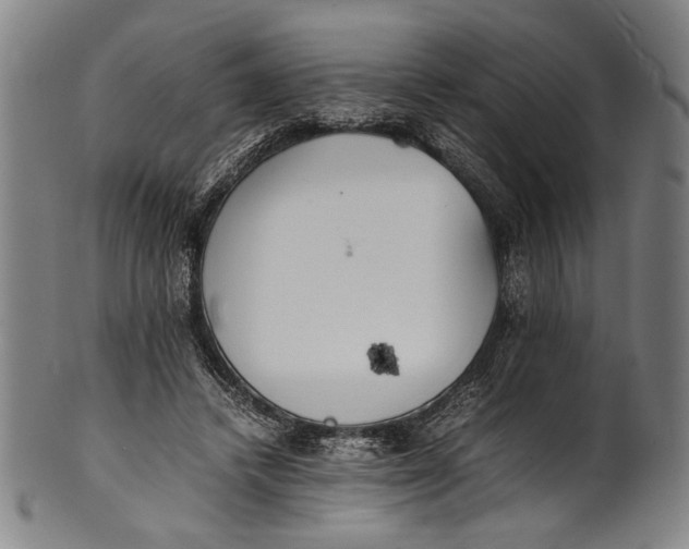 X0000100850448200807111220