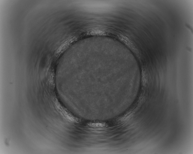 X0000100850449200807111220