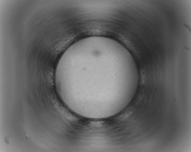 X0000100850450200807111220