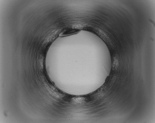 X0000100850452200807111220