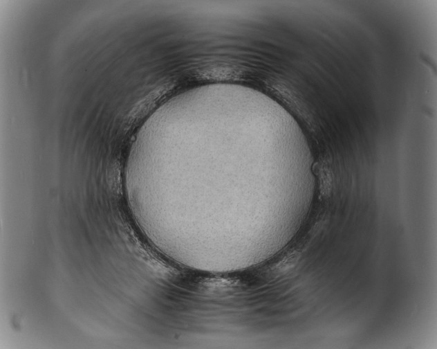 X0000100850453200807111220