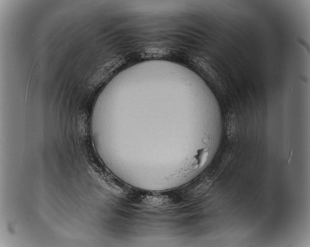 X0000100850455200807111220