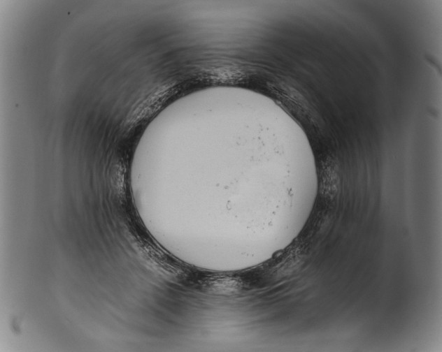 X0000100850456200807111220