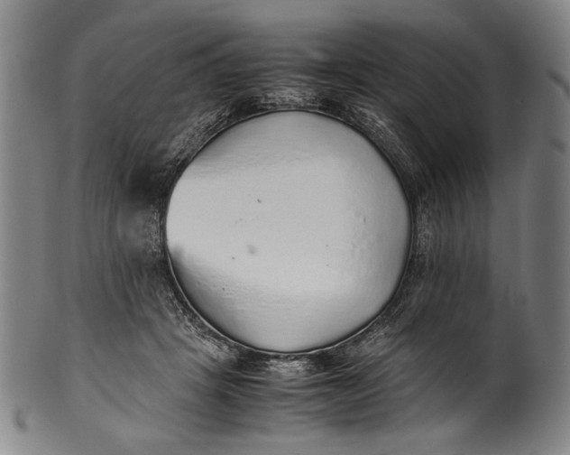 X0000100850457200807111220