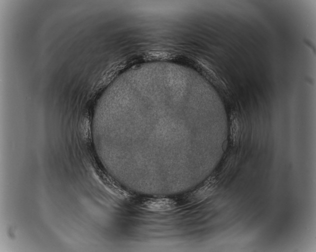 X0000100850459200807111220