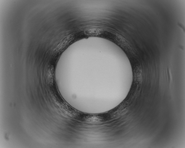 X0000100850460200807111220