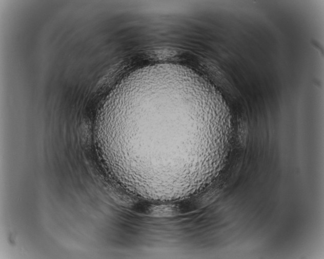 X0000100850461200807111220