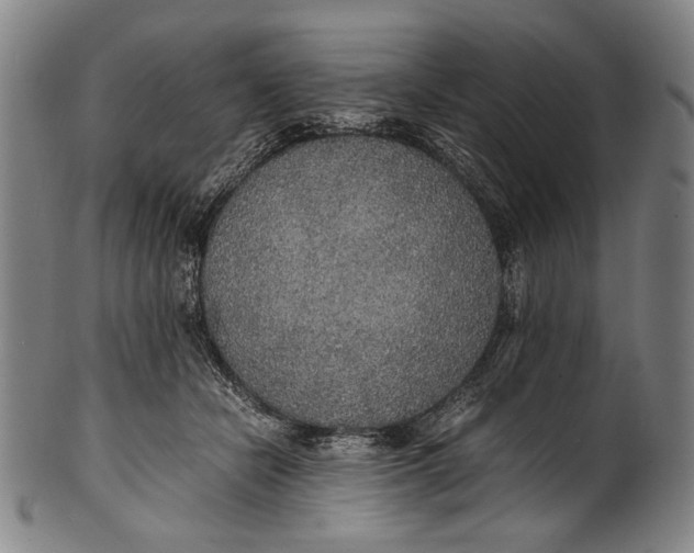 X0000100850462200807111220