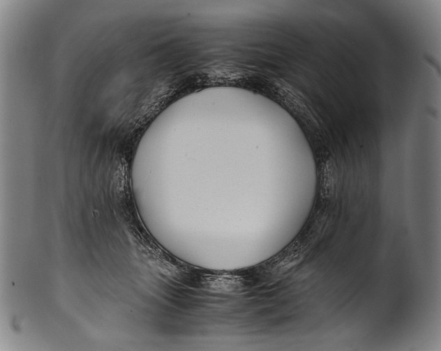 X0000100850463200807111220