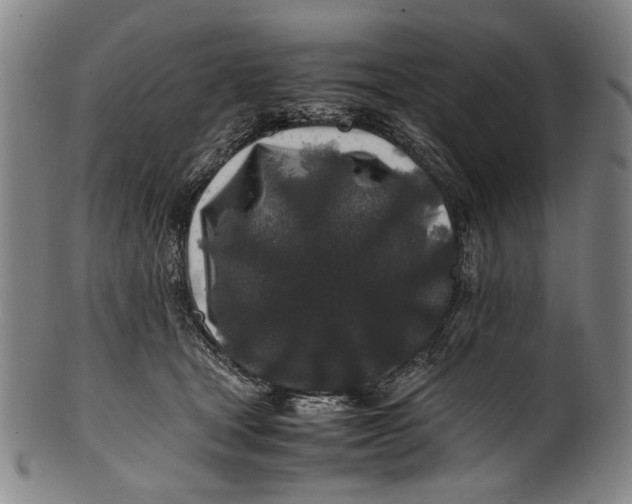 X0000100850465200807111220