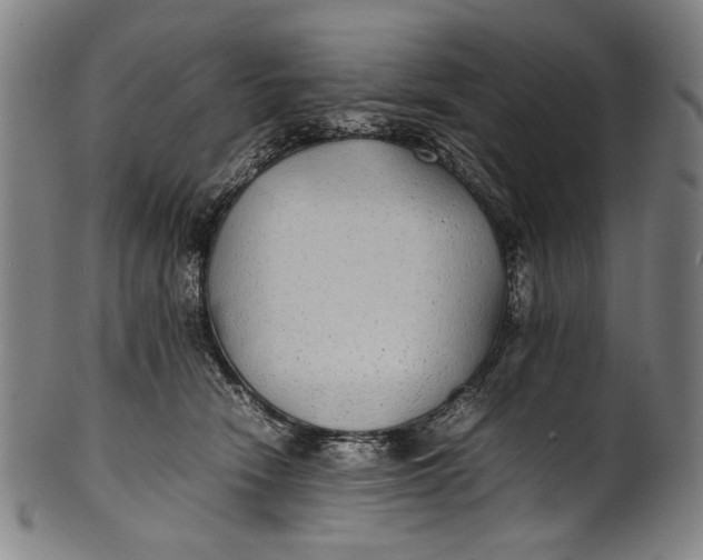 X0000100850466200807111220