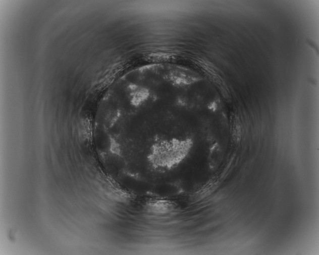 X0000100850467200807111220