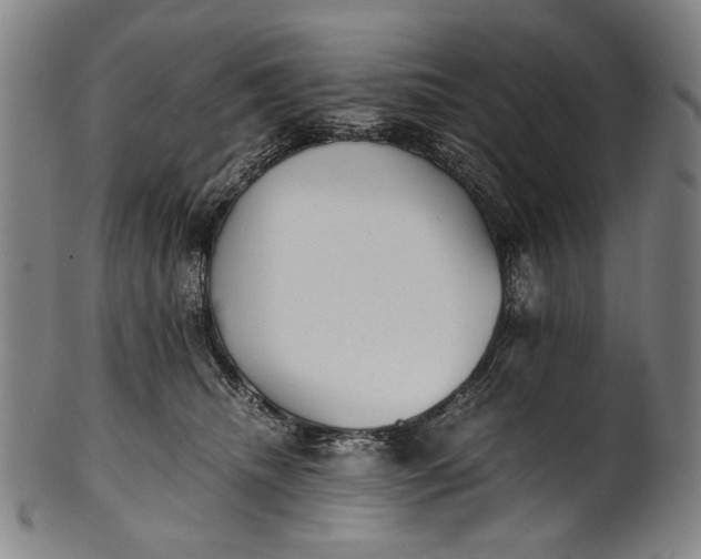 X0000100850468200807111220