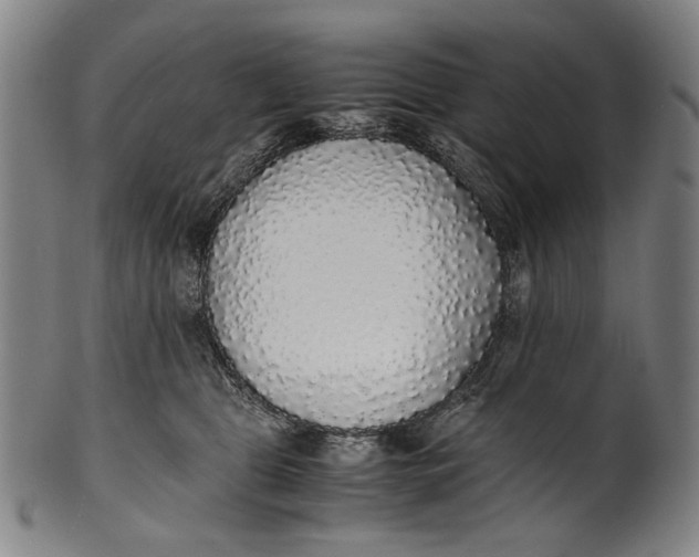 X0000100850469200807111220