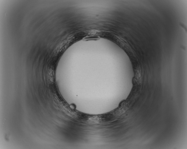 X0000100850470200807111220