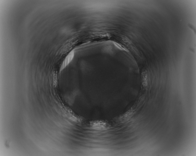 X0000100850471200807111220