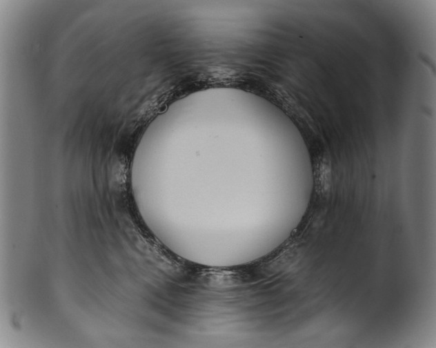 X0000100850472200807111220